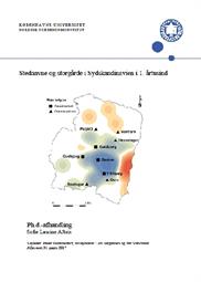 Sofie Laurine Albris: Stednavne og Storgårde i Sydskandinavien i 1. årtusind