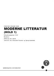 Moderne Litteratur (Hold 1) ES25